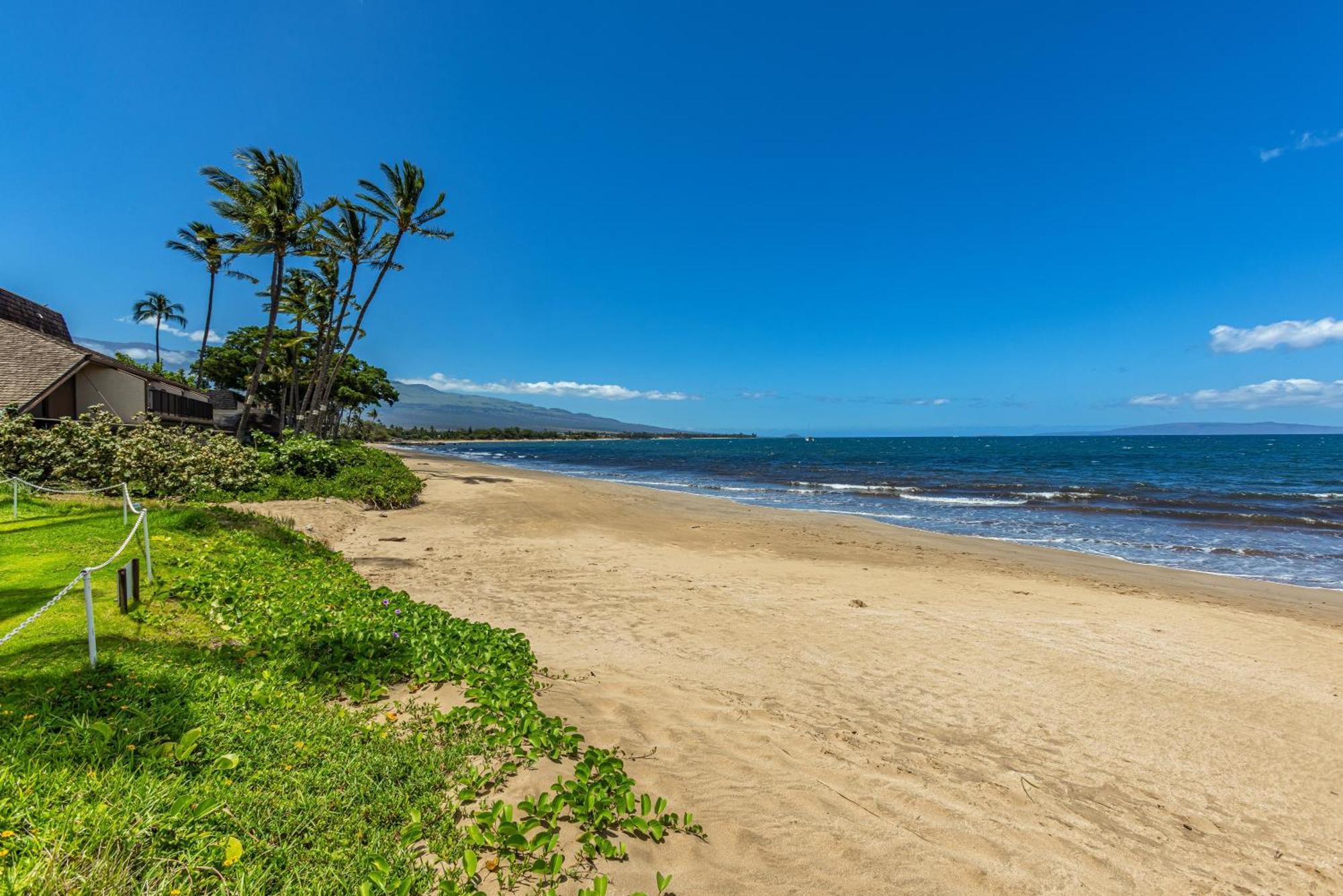 Kai 20 * Kihei